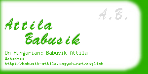 attila babusik business card